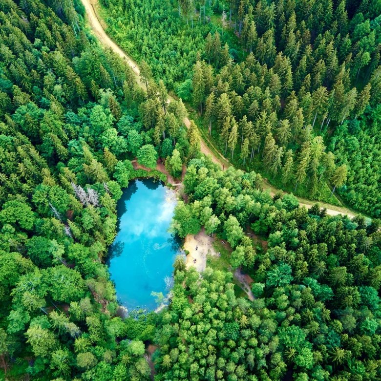 The Ultimate Cheat Sheet On Real Estate